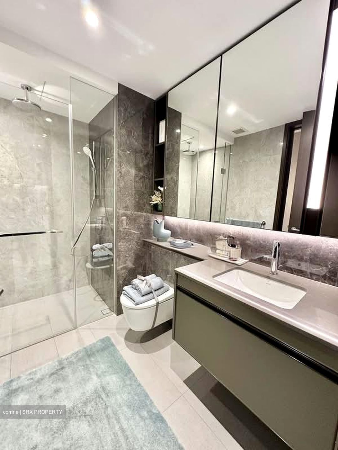 Tembusu Grand (D15), Condominium #566506851